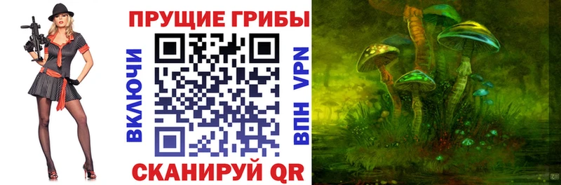 Псилоцибиновые грибы прущие грибы  продажа наркотиков  Курск 